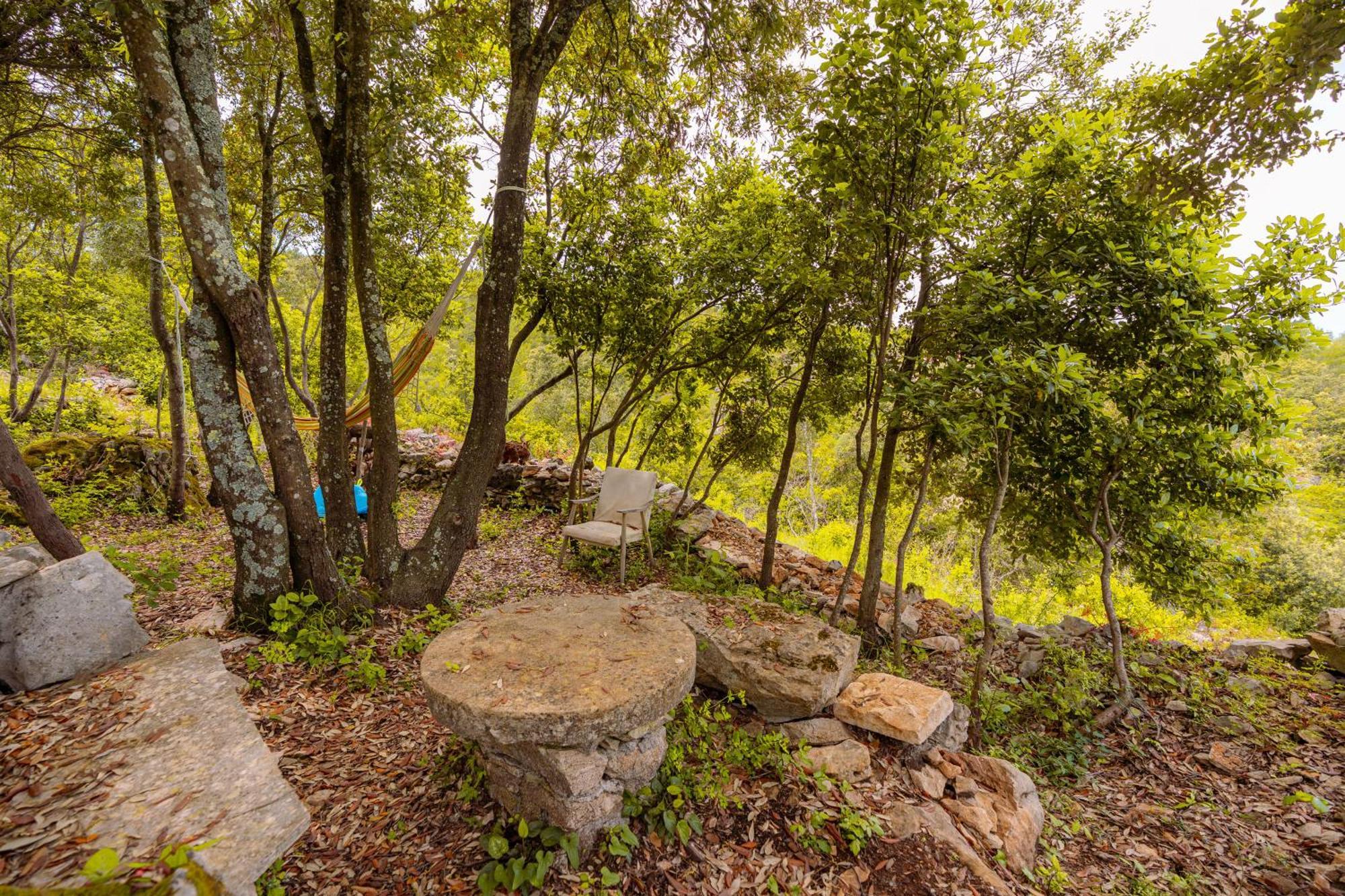 Meadow Hill Villa Zrnovo Eksteriør bilde