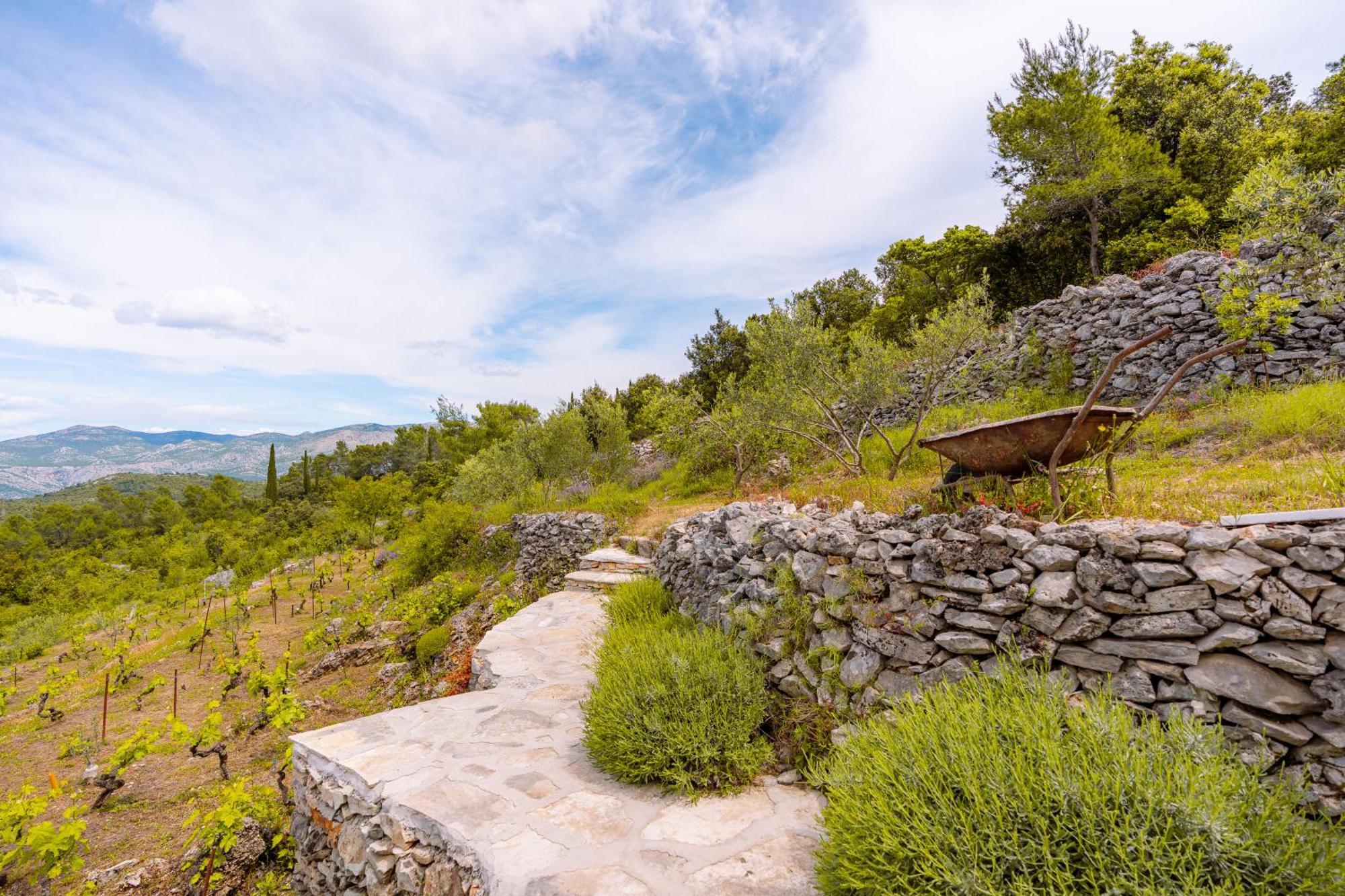 Meadow Hill Villa Zrnovo Eksteriør bilde